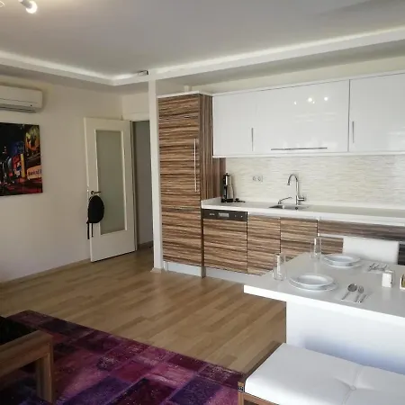 Sehir Merkezinde 1+1 Lueks Daire Lejlighed *