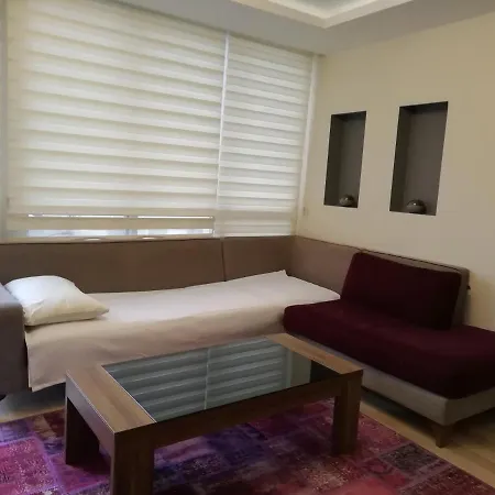 Sehir Merkezinde 1+1 Lueks Daire Kusadası